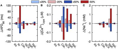 Global Optimization of Ventricular Myocyte Model to Multi-Variable Objective Improves Predictions of Drug-Induced Torsades de Pointes